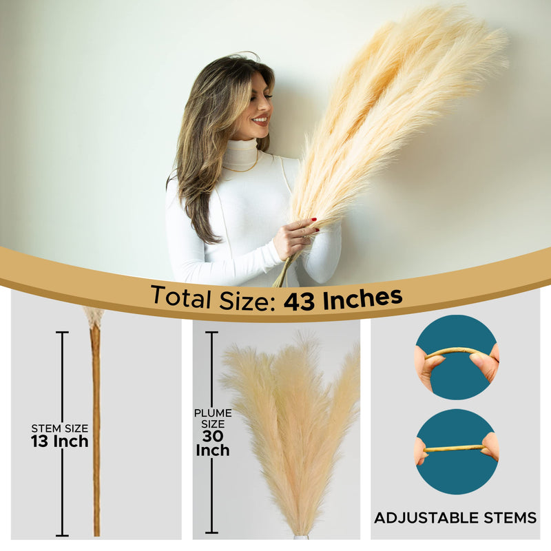 Aurora Prime Faux Pampas Grass Decor Tall Set of 3 Pcs-43 Inches Non Shedding Artificial Pampas Grass Large - Pompas Fluffy Floral Pompous Grass Beige Branches for Vase Home Office Wedding Room Décor - NewNest Australia