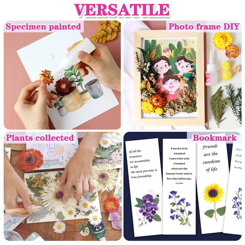 Vignee Real Dried Pressed Leaf Flowers-Multiple Colorful Pressed Flowers Daisies for Craft Resin Jewelry Making Art Craft DIY（Blue） Blue - NewNest Australia