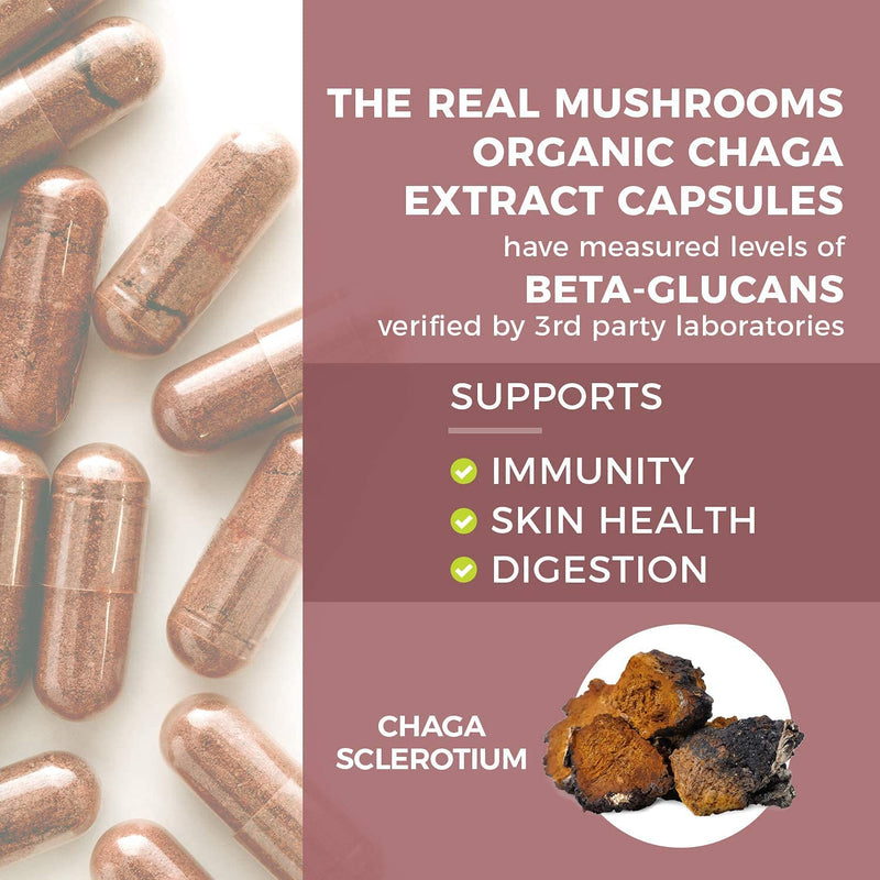 Chaga Extract Immune and Digestive Support Organic Capsules - Non-GMO Supplement with Beta-Glucans 120 Count (Pack of 1) - NewNest Australia