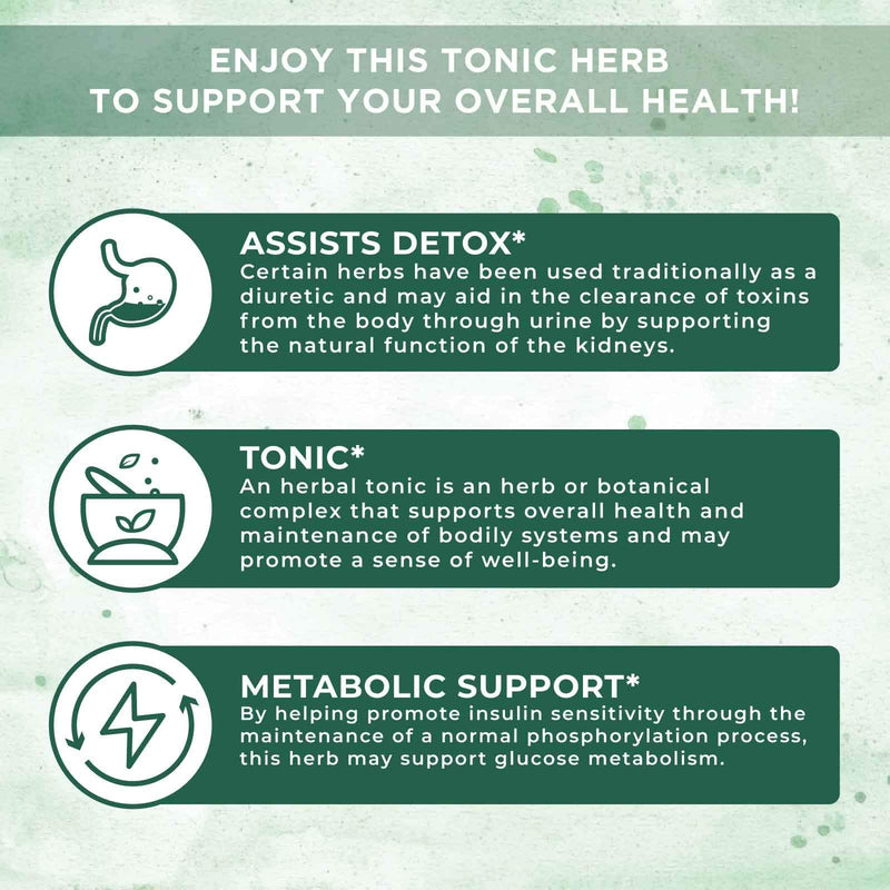 Stinging Nettle | USDA Stinging Nettle Leaf | Stinging Nettle for Glucose Metabolism Support | Detox Supplement | Herbal Blend for Detoxification | Vegan | Non-GMO | Gluten Free | 1 Fl Oz - NewNest Australia