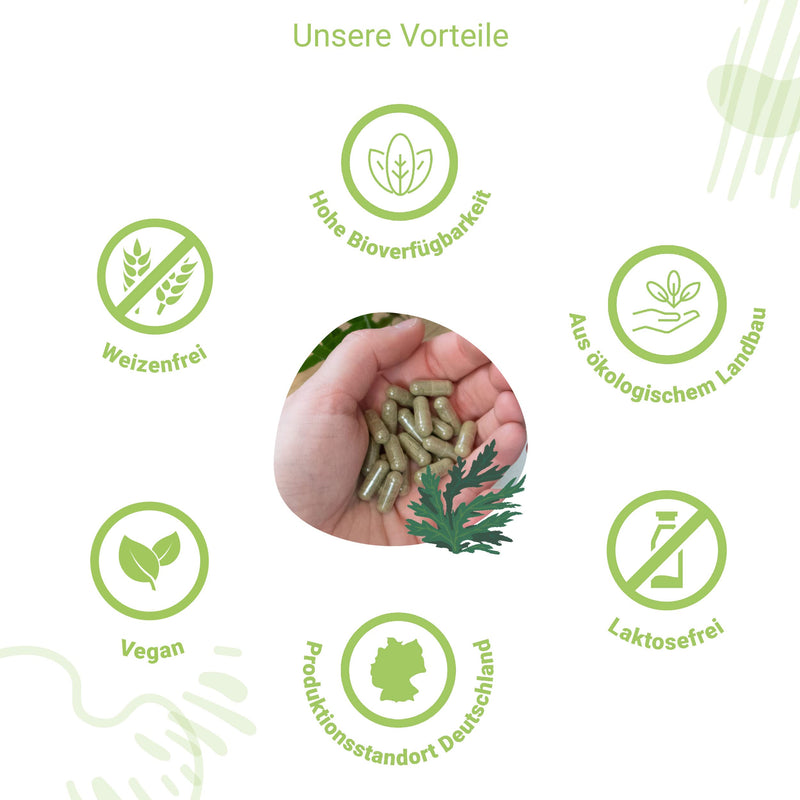 iodine organic | Highly dosed iodine from organic brown algae from Seagreens® I from organic wild collection, sustainably harvested and gently dried (79.2g = 180 portions) | vegan capsules with 256µg iodine each - NewNest Australia