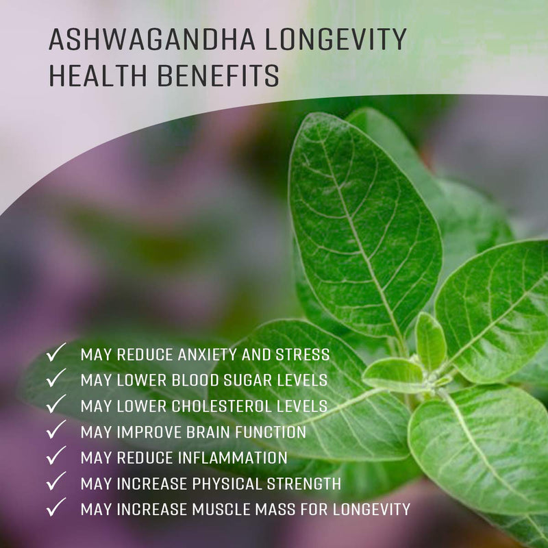 Ashwagandha Tincture - Organic Withania Somnifera Liquid Extract Promoting Stress Relief, Brain & Heart Function - Alcohol-Free Herbal Drops for Energy - Vegan, Non-GMO - 2 fl. Oz Bottle (2 FL OZ) 2 Fl Oz (Pack of 1) - NewNest Australia