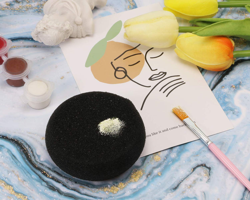 Penta Angel Painting Sponges 6PCS Round Foam Painting Brushes Tools Watercolor Sponges for Acrylic Painting Staining Craft DIY Clay Painting Ceramic Wall Kitchen Cleaning (Black) Black - NewNest Australia