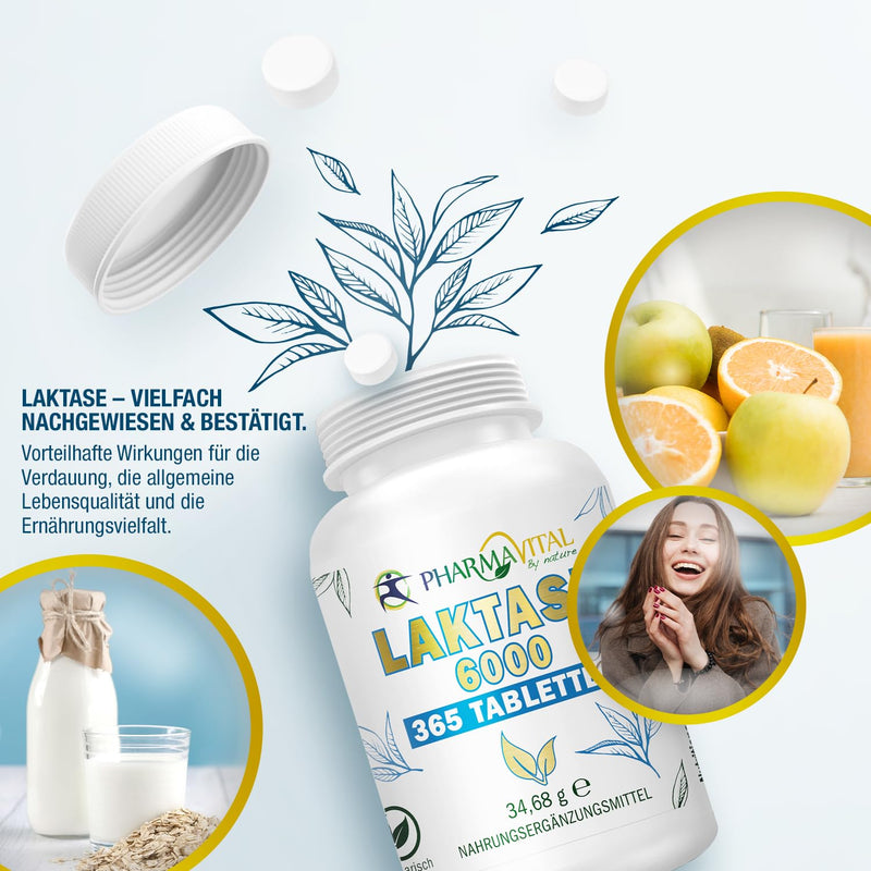 PharmaVital Lactase 6,000 FCC - 365 tablets for the digestion of dairy products Supports lactose intolerance Lactase Enzyme Lactase Reduces flatulence, diarrhea and discomfort Lactase 6000 365 tablets (pack of 1) - NewNest Australia