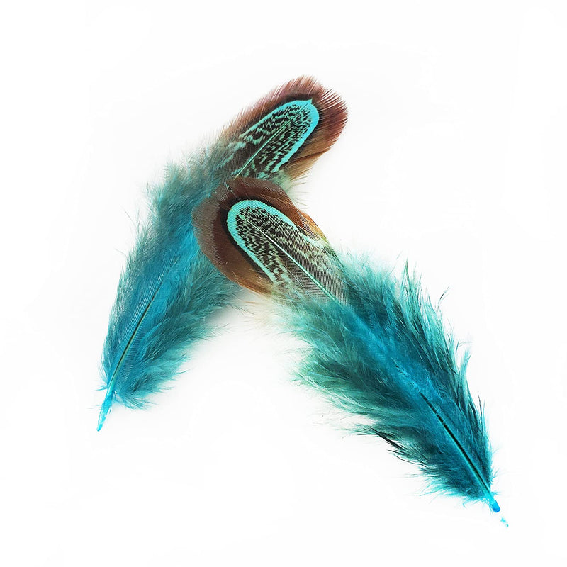 50 pcs Natural Pheasant Plumage Feathers 2-3 Inches Plumage Feathers for Sewing Crafts Clothing Decorating Accessories -Blue Blue 50pcs - NewNest Australia