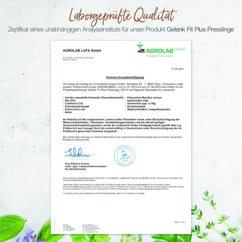 B√Ñrbel Drexel Joint Fit Pellets, Joint Capsules High Dose (192 Pieces) Made Germany Special Active Ingredient Combination Frankincense Devil'S Claw Card Collagen Hyaluronic Acid Cartilage Joints - NewNest Australia