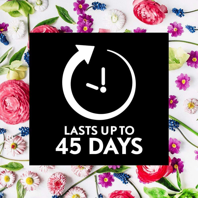 Airwick Essential Mist Refills, Essential Oil Diffuser Air Freshener Refills for Aromatherapy, Balancing Peony & Jasmine, Multipack of 6 x 45 days, Lasts Total Upto 135 days - NewNest Australia
