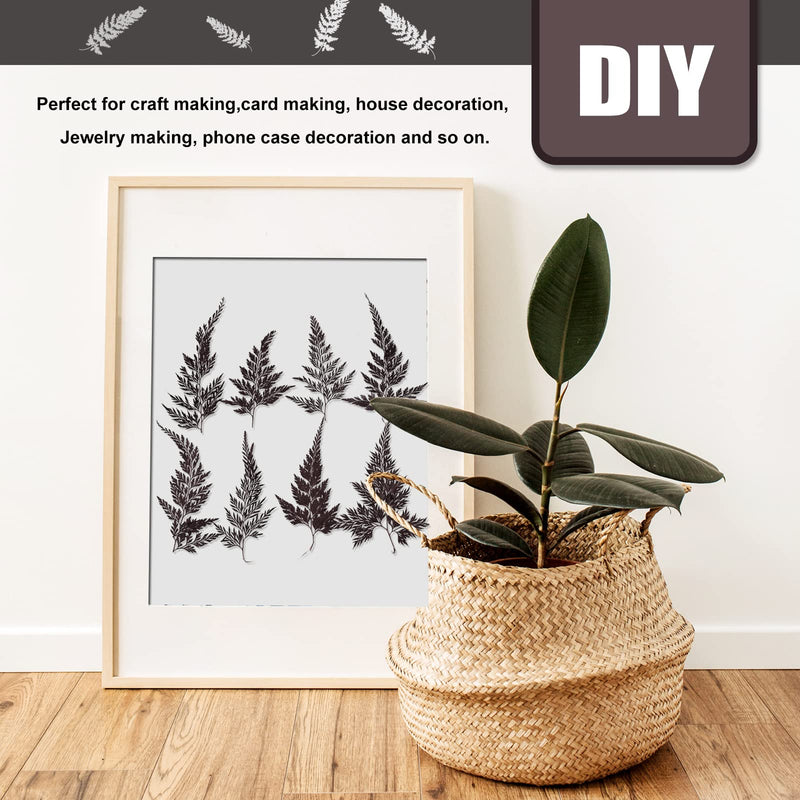 ALJ 42 PCS Pressed Ferns Leaves, Natural Purple Dried Ferns Leaves Plant Pressed Leaf for Resin Art DIY Craft Embellishment Decors, Craft Jewelry Card and Making DIY Scrapbooking - NewNest Australia