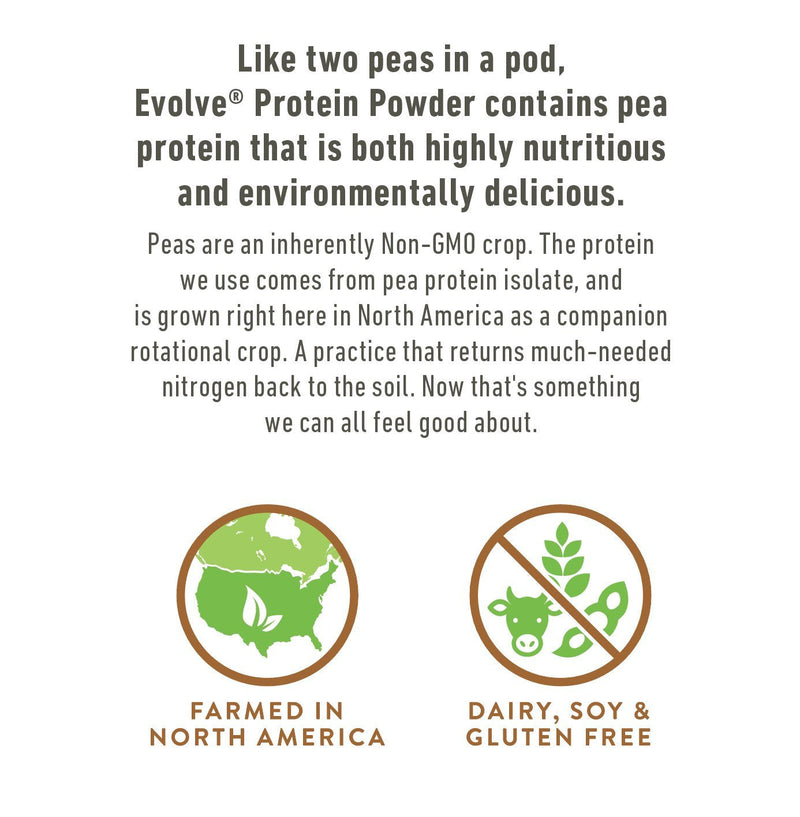 Evolve Plant Based Protein Powder, Double Chocolate, 20g Vegan Protein, Dairy Free, No Artificial Flavors, Non-GMO, 3g Fiber, 1 Pound (Packaging May Vary) 1 Pound (Pack of 1) - NewNest Australia