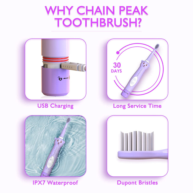 CHAIN PEAK Kids Sonic Electric Toothbrush, Cute Bear Rechargeable Toothbrush for Children, Boys Girls Age 3-12 with 30s Reminder, 2 Min Timer, 5 Modes, 8 Brush Heads, Bear Toothbrush Purple+8 Heads - NewNest Australia