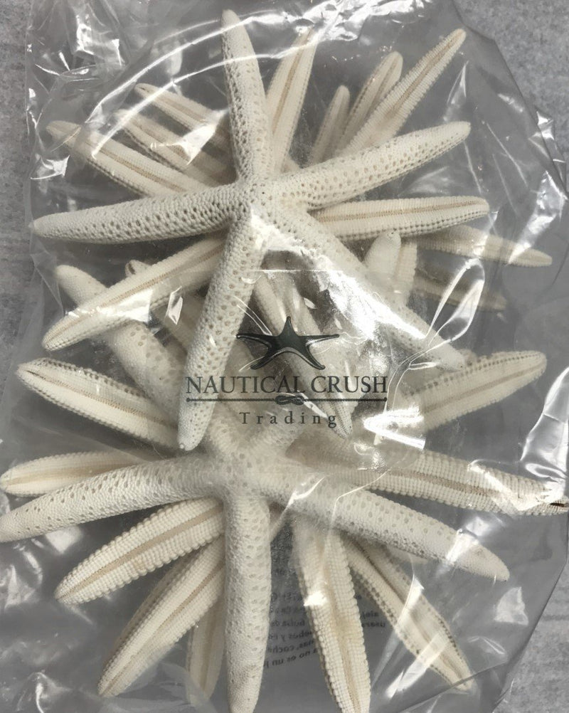 NewNest Australia - Nautical Crush Trading Starfish | 10 Extra Large White Finger Starfish 6"-8" TM 10 Pack White 