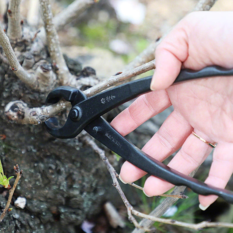 Hanafubuki Wazakura Hand Forged Bonsai Tree Trunk Splitter, Made in Japan 8.25inch(210mm), Branch Cutter Japanese Garden Tool - 8.25inch(210mm), Black 8.25inch(210mm) - NewNest Australia