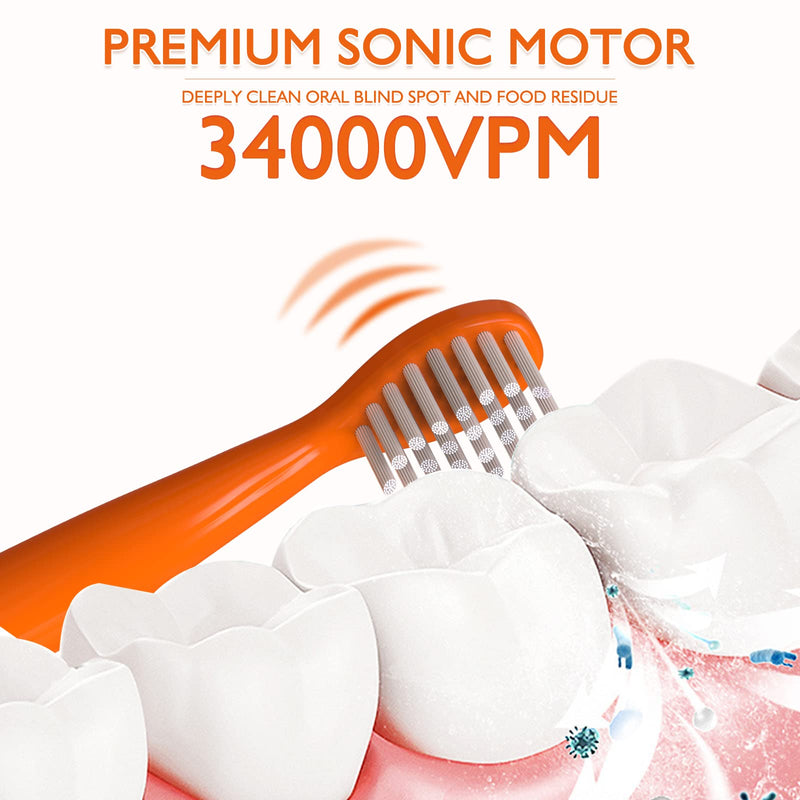 Dinosaur Toothbrush, Kids Sonic Electric Toothbrush for Children, Toddlers Boys Girls Age 3-12 with 30s Reminder, 2 Mins Timer, 5 Modes, 6 Brush Heads, Rechargeable, Wall-Mounted Holder 8680 Orange+ 6 Heads+ Holder(package Might Vary) - NewNest Australia