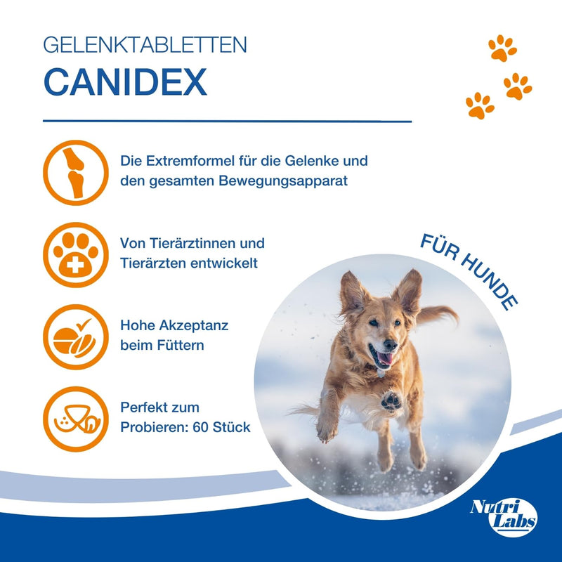 NutriLabs Canidex® joint tablets for dogs 60 PCS. - with MSM, hyaluronic acid, glucosamine, UVM. - Health products for dogs - Food supplements for dogs - Devil's claw dog chewable tablets 60 pieces - NewNest Australia