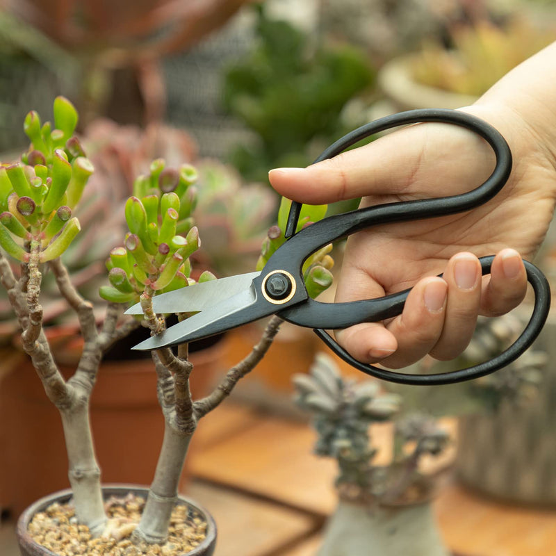 VISEMAN Japanese Bonsai Pruning Scissors-KinTakashi Gardening Shears for Bonsai Trimming - NewNest Australia