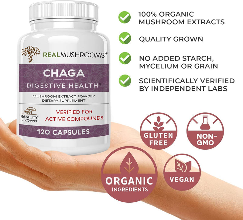 Chaga Extract Immune and Digestive Support Organic Capsules - Non-GMO Supplement with Beta-Glucans 120 Count (Pack of 1) - NewNest Australia