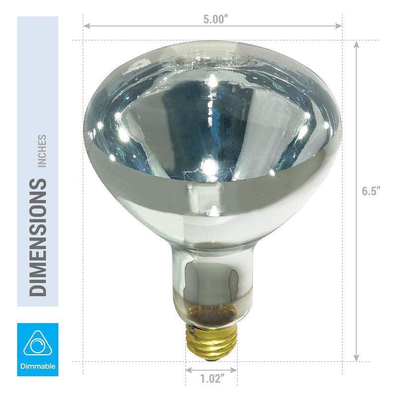 250R40/1 250-Watt, Incandescent R40 Reflector, Clear Head Lamp, Heat Flood Lamp Light Bulb, E26 Standard Medium Screw Base, 120V, 6,000 Hour Rated (Pack of 2-Clear-Heat Lamps) - NewNest Australia