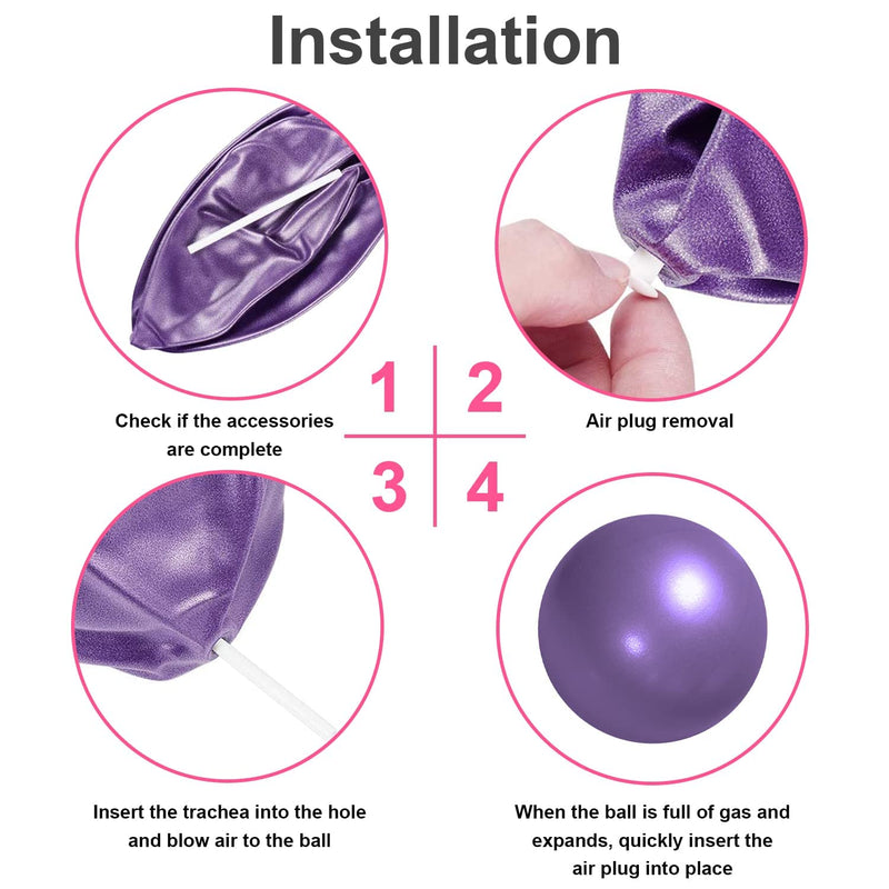 TopBine 2 Pcs Pilates Ball 23cm Small Exercise Ball Stability Ball for Yoga Barre Core Training and Physical Therapy- Comes with Inflatable Straw Pink+Purple - NewNest Australia