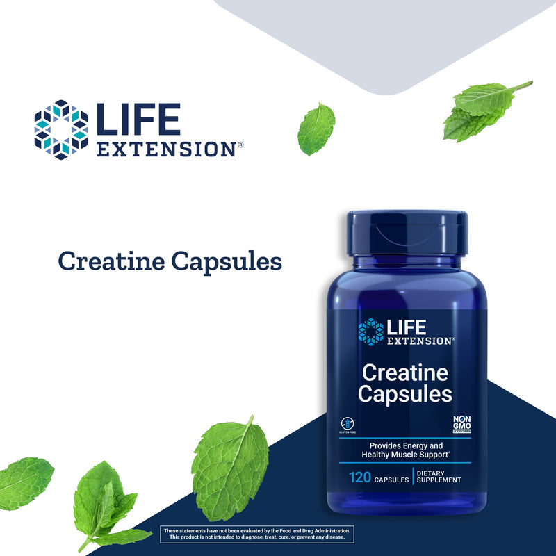 Life Extension Creatine Capsules – Non-GMO – 120 Capsules 120 Count (Pack of 1) Standard Packaging - NewNest Australia