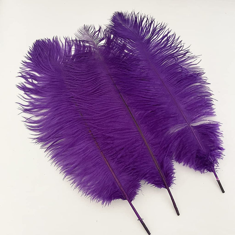 10pcs Natural Ostrich Feathers Plumes 14-16inch(35-40cm) for Craft Flower Arrangement ，Wedding Decoration and Halloween Party (Purple) purple - NewNest Australia