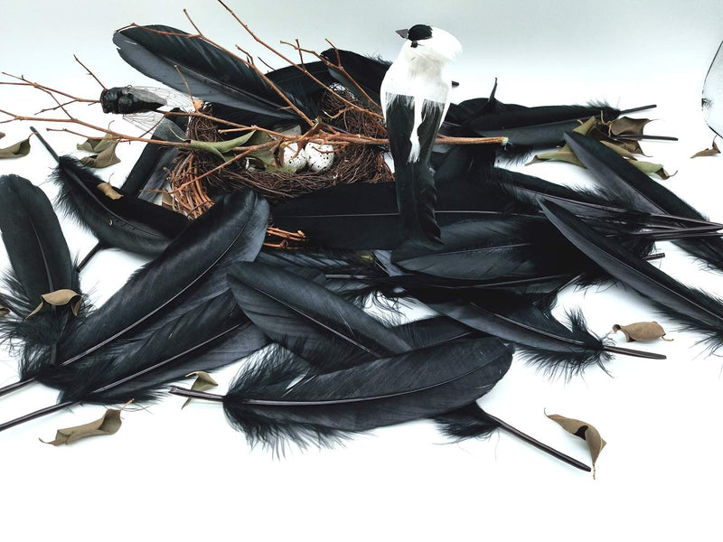 100pcs 6-8 inches Black Dyed Natural Goose Feathers for Crafts DIY Wedding Party Decoration Accessories (Black) - NewNest Australia