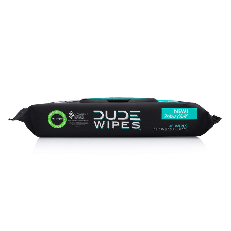 DUDE Wipes Flushable Wet Wipes Dispenser Mint Chill 48Count - Scented Wet Wipes with Vitamin-E Aloe Eucalyptus & Tea Tree Oils for at-Home Use Septic & Sewer Safe Pack of 1 - NewNest Australia