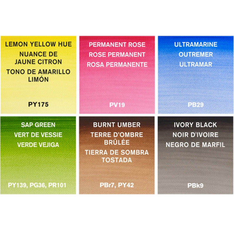 Winsor & Newton Cotman Water Colour Paint, Set of 6, 8ml Tubes 0.27 Fl Oz (Pack of 8) - NewNest Australia