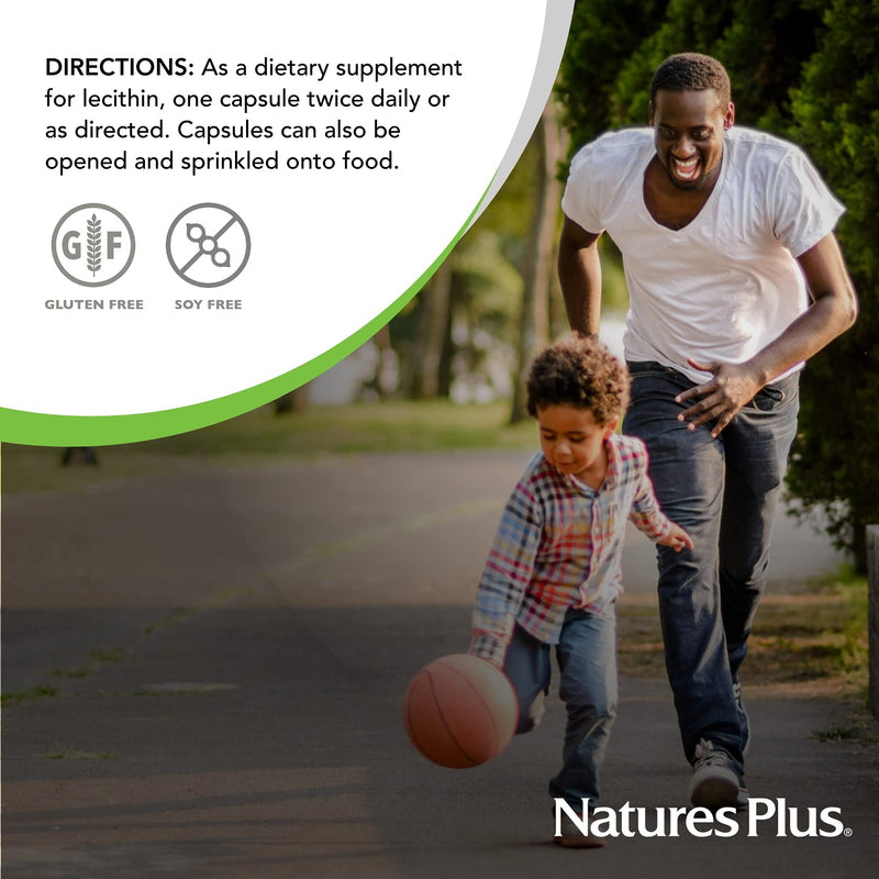 NaturesPlus Egg Yolk Lecithin - 600 mg, 90 Vegetarian Capsules - Supports Body's Natural Defenses & Optimal Liver Function - Soy-Free, Gluten-Free - 90 Servings - NewNest Australia