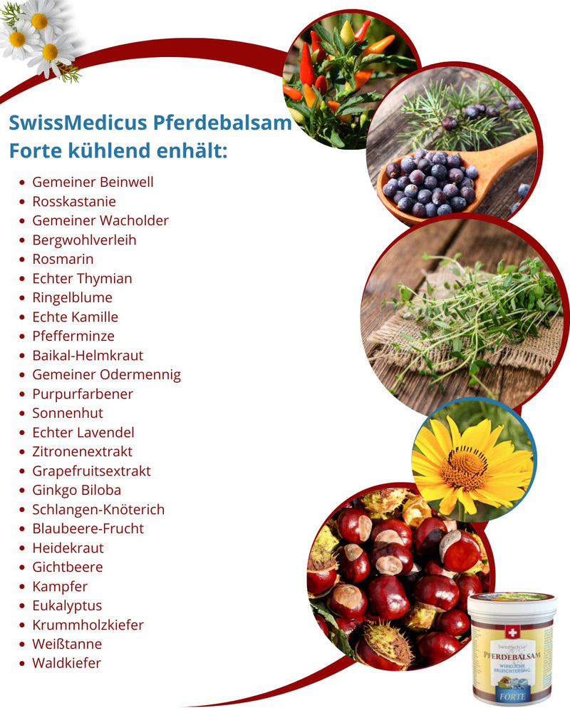 Swissmedicus Horse Balm Massage Gel With 25 Herbal Extracts (Comfrey, Horse Chestnut, Arnica, Eucalyptus) Noticeable Relief During Massage For Muscles, Joints, Back Cooling Extra Strong 250Ml 250.00 Ml (Pack Of 1) - NewNest Australia