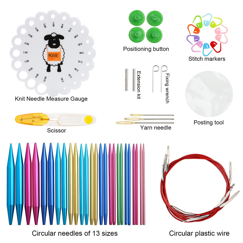 LOOEN 37pcs Aluminum Circular Knitting Needles Set with Ergonomic Handles,13 Size Interchangeable Crochet Needles with Storage Case for Small Project (Style 1) Style 1 - NewNest Australia