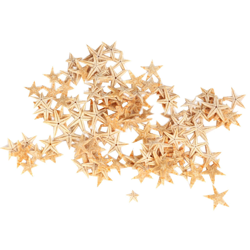 Ogrmar Small Starfish Star Sea Shell Beach Craft 0.4"-1.2" 90 Pcs - NewNest Australia