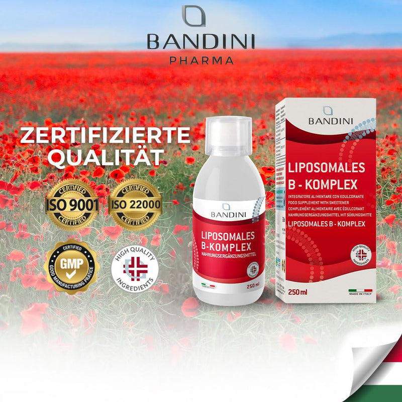 Bandini® Vitamin B Complex Liposomal - 250 ml liquid format | High dosage: All 8 B vitamins (B1, B2, B3, B5, B6, B7, B9, B12) | Independently laboratory tested, no additives, GMO-free, vegan - NewNest Australia