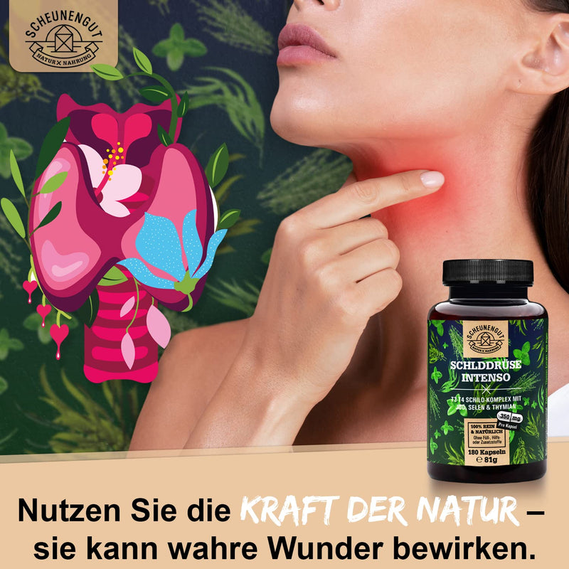 Thyroid Intenso Iodine Selenium Capsules - Important: Laboratory Tested With Selenium & Thyme Plus 155¬µg Iodine (Per Capsule) And More I 180 Capsules High Dose I Iodine From Brown Algae I Vegan I De I Scheunengut - NewNest Australia