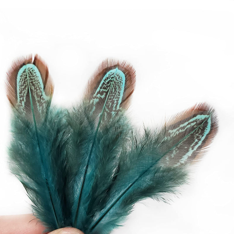 50 pcs Natural Pheasant Plumage Feathers 2-3 Inches Plumage Feathers for Sewing Crafts Clothing Decorating Accessories -Blue Blue 50pcs - NewNest Australia