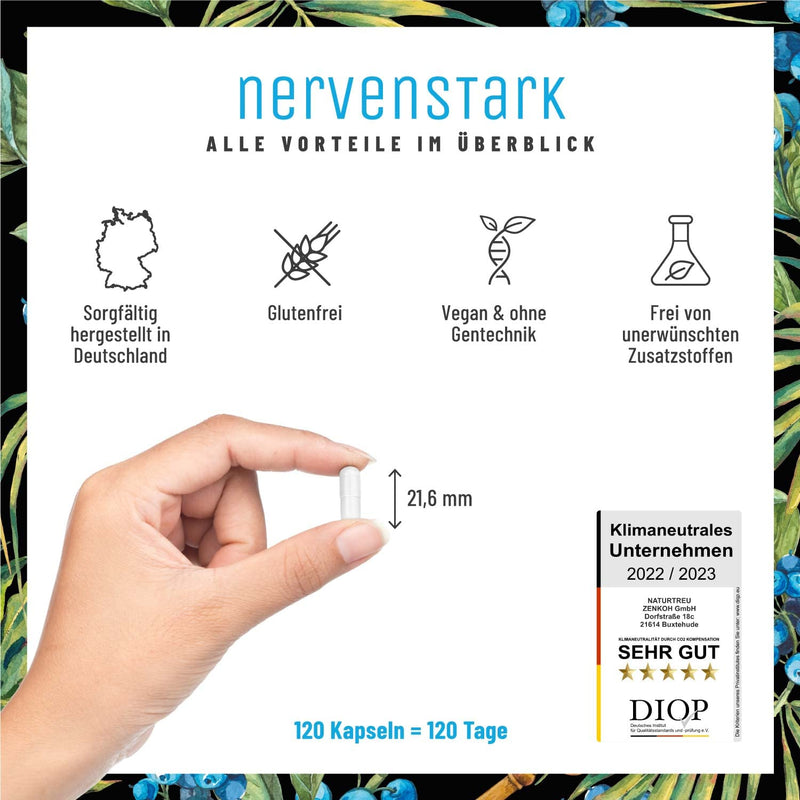 Vitamin B Complex (B1-B12) with 4 cofactors active - all 8 B vitamins - vitamin B complex vegan - B vitamin complex high dose with cofactors - strong nerve - NewNest Australia