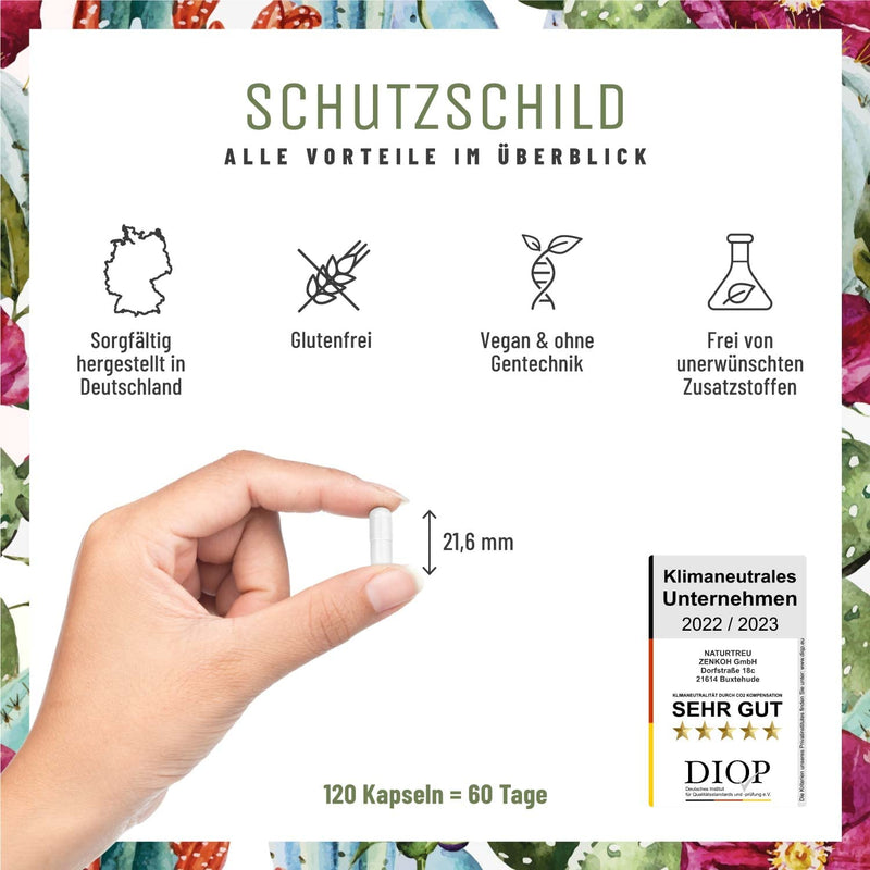 Immune System Complex - 500mg Echinacea with Vitamin C Zinc Selenium L-Histidine & Kalmegh - Strengthen the immune system * vegan & without additives - 120 Echinacea Purpurea capsules for 60 days - NewNest Australia