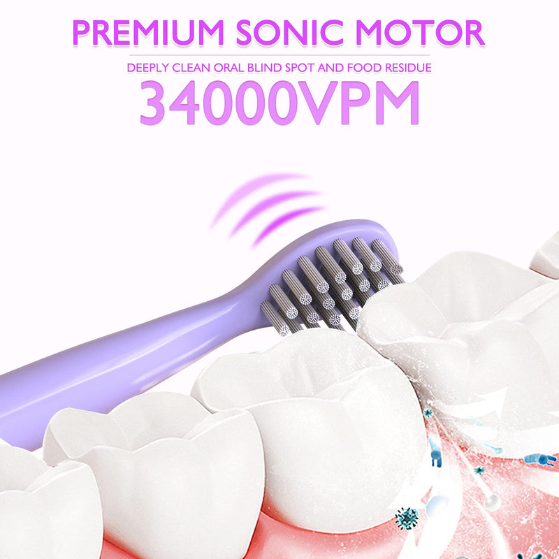 CHAIN PEAK Kids Sonic Electric Toothbrush, Cute Bear Rechargeable Toothbrush for Children, Boys Girls Age 3-12 with 30s Reminder, 2 Min Timer, 5 Modes, 8 Brush Heads, Bear Toothbrush Purple+8 Heads - NewNest Australia