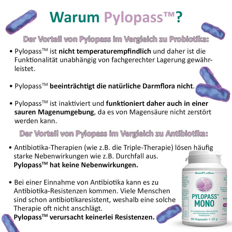 Pylopass MONO 200mg, 60 capsules, for diet management for Helicobacter Pylori infections, high dosage, vegan, lactose-free, gluten-free, quality monitored - NewNest Australia