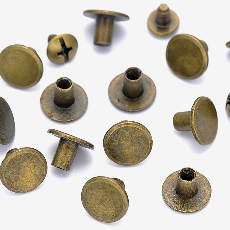 YORANYO 100 Sets Bronze Round Flat Head Chicago Screws for Leather Chicago Rivets Kit Button Studs Leather Rivets Chicago Screw for Leather Crafting Clothing Shoes Belts Bags 25/64 Inch - NewNest Australia