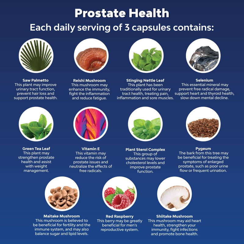 Saw Palmetto Prostate Supplements for Men - Pygeum and Saw Palmetto Extract Prostate Health Formula with Zinc Selenium Nettle Vitamin E and Plant Sterols - Mens Health Vitamin for Prostate Support 60 Count (Pack of 1) - NewNest Australia