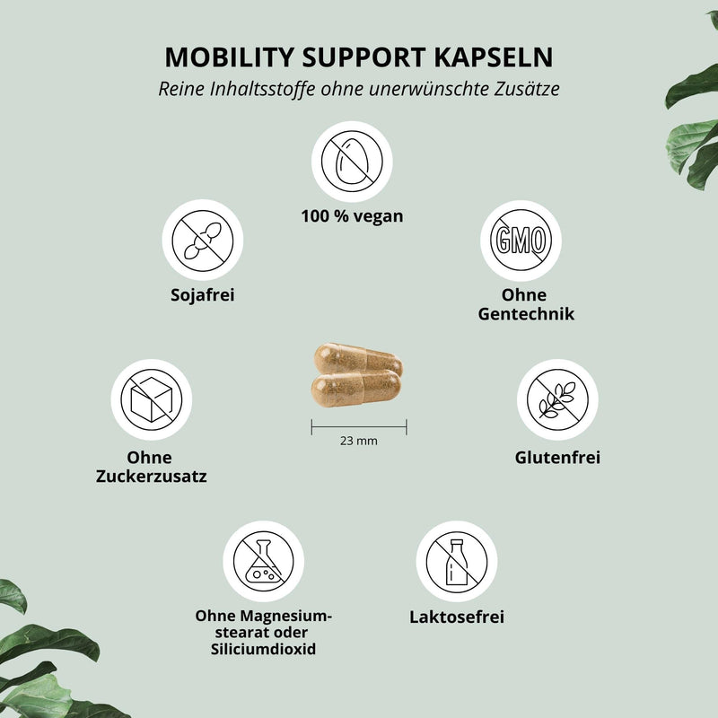 Glucosamine + Chondroitin High Dose + Vegan - Mobility Support With Msm, Hyaluronic Acid, Zinc, Vitamin C - Brand Raw Materials Glucosagreen + Phytodroitin - 120 Capsules - NewNest Australia