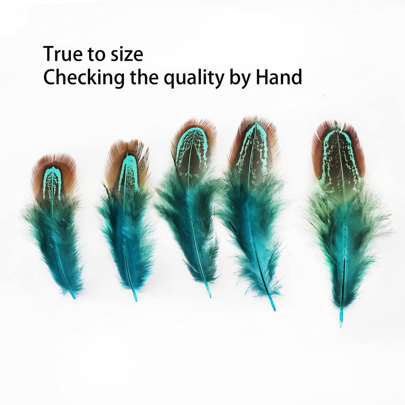 50 pcs Natural Pheasant Plumage Feathers 2-3 Inches Plumage Feathers for Sewing Crafts Clothing Decorating Accessories -Blue Blue 50pcs - NewNest Australia