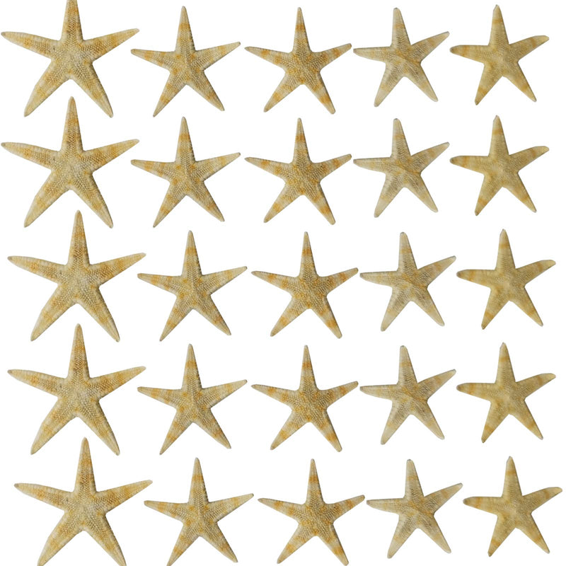RONYOUNG 90PCS Small Starfish Star Sea Shell Beach Craft 0.4"-1.2" - NewNest Australia
