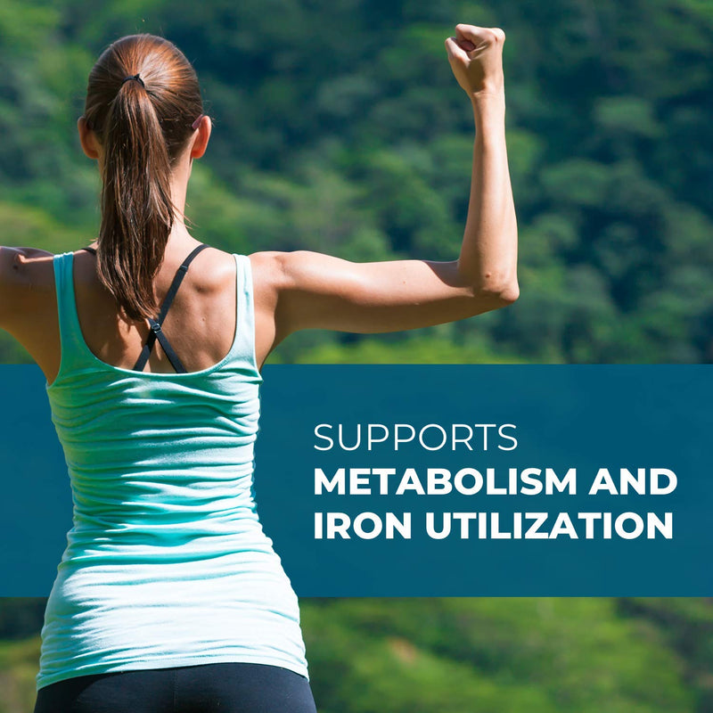 Seeking Health Molybdenum 500 – Molybdenum Glycinate Chelate – Supports Metabolism and Iron Utilization* - Metabolism Supplement - 90 Vegetarian Capsules - NewNest Australia