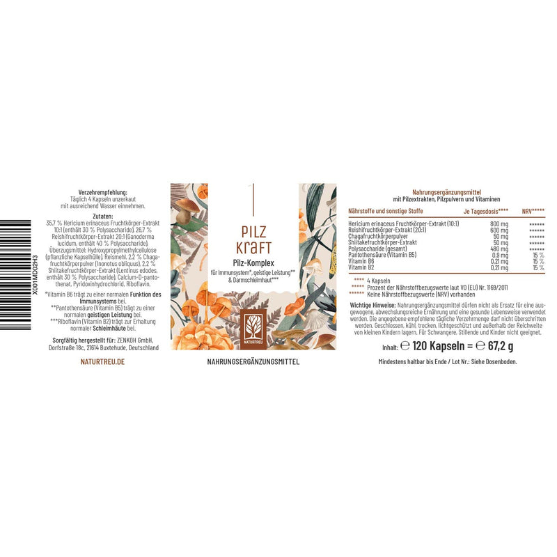 Naturtreu Pilzkraft 120 Capsules Mushroom Complex High Dose With Hericium Erinaceus (Lions Mane) Extract, Chaga, Reishi Extract, Shiitake Extract, Beta Glucan, Vitamin B2, B5 & B6 - NewNest Australia