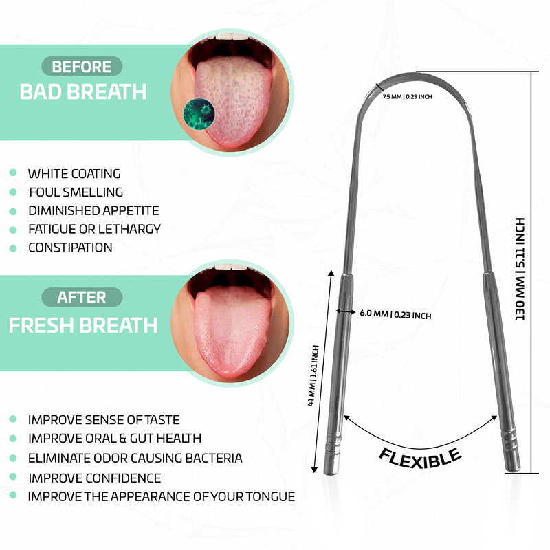 [2 pack] KN FLAX Tongue Scraper [Medical Grade] Reduce Bad Breath Maintains Oral Care 100% BPA Free Metal Tongue Scraper, Tongue Cleaner for Adults and Kids, Easy to Use with Non-Synthetic Handle 2 Count (Pack of 1) - NewNest Australia