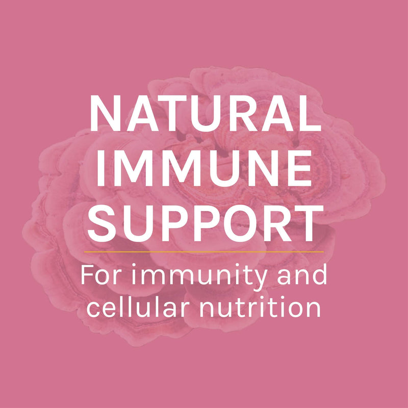 Host Defense, Turkey Tail Mushroom Powder, Supports Immune Health, Certified Organic Supplement - NewNest Australia