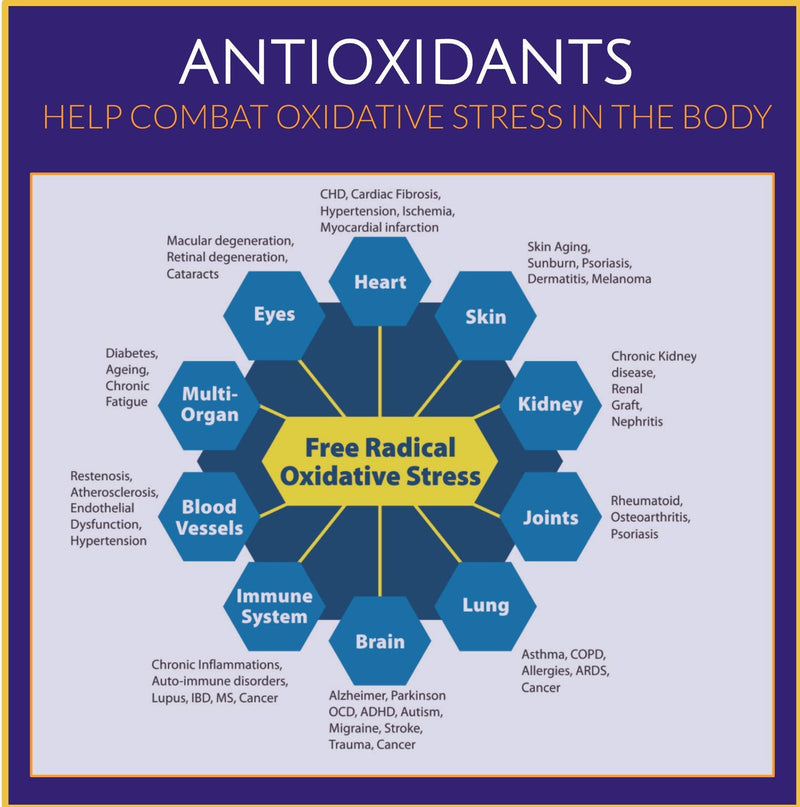 Selenium + ACE Vitamins| Immune Boost| Seleno-Ace Pro | Thyroid | Cellular Health | Nails Hair | DNA| 365 Tabs Selenomethionine NOT Ineffective Selenite! - NewNest Australia