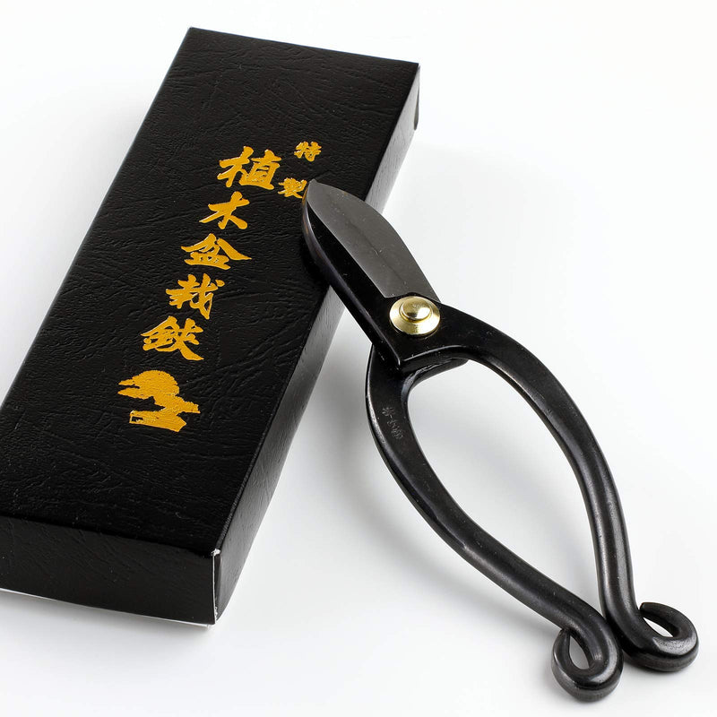 Wazakura Made in Japan Ikebana Tool Kit - Ikenobo Scissors + Black Kenzan Flower Holder, Japanese Floral Arrangement Set, Florist Shears and Pin Frog Gift Box Set - Black 2.4" (61mm) Black 2.4" (61mm) - NewNest Australia