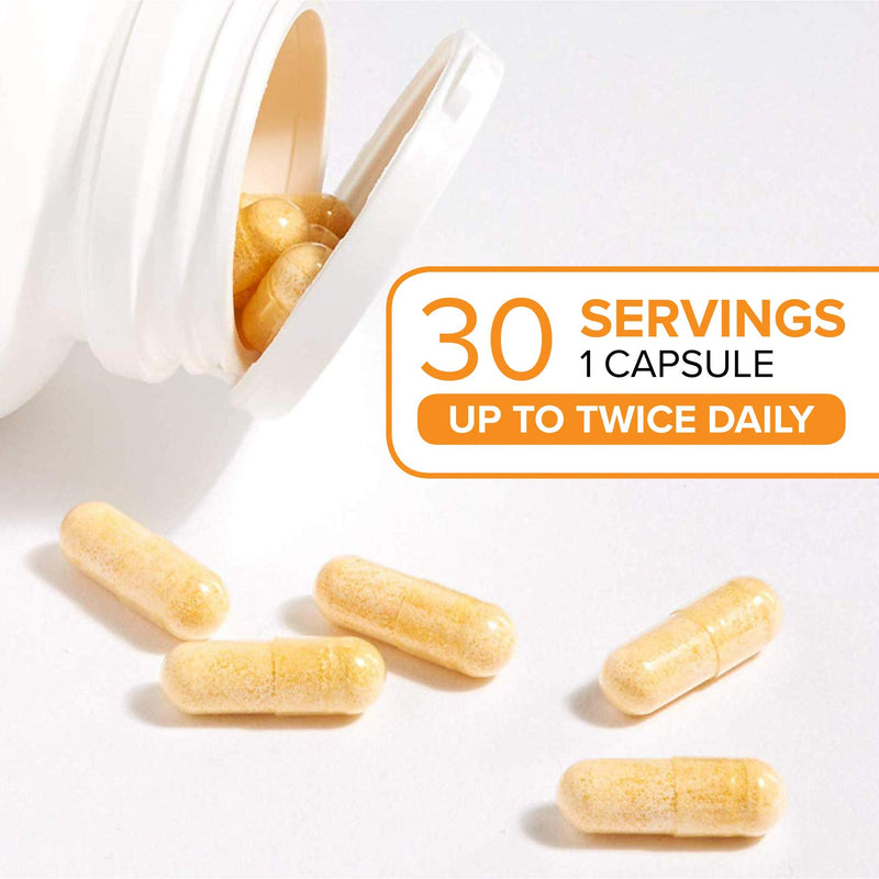 CurcuminRich Theracurmin by Natural Factors, Turmeric, 30 Capsules (30 Servings) 30 Count (Pack of 1) Standard Packaging - NewNest Australia